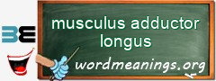 WordMeaning blackboard for musculus adductor longus
